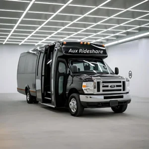 Aux Luxury bus