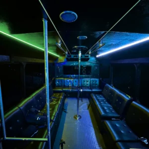 Party pole in bus