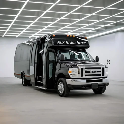 Aux Luxury bus